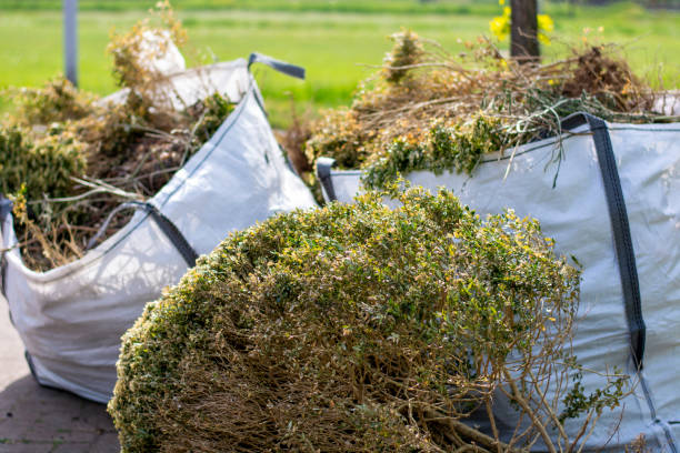 Best Furniture Removal  in Felton, CA